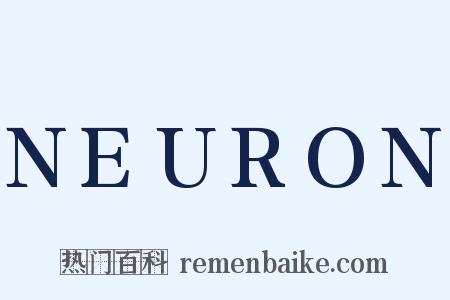 NEURON是什么意思的图片